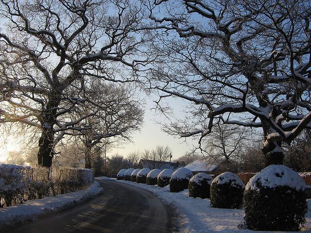 White House Lane