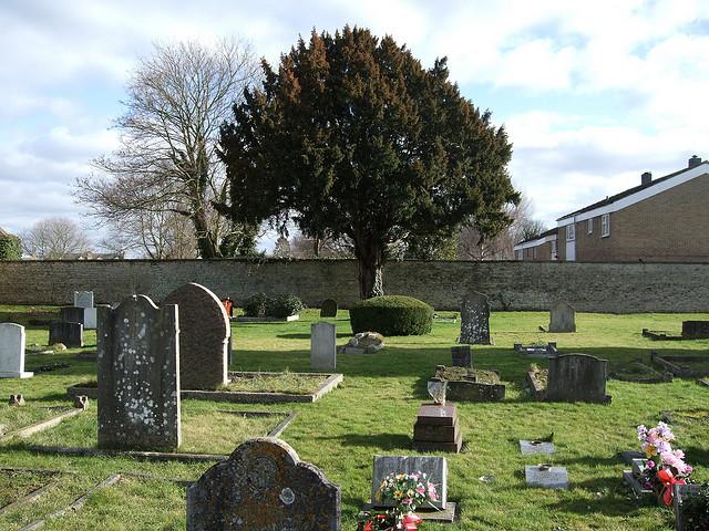 The Graveyard, St Edburg's Church, Bicester, Oxfordshire.