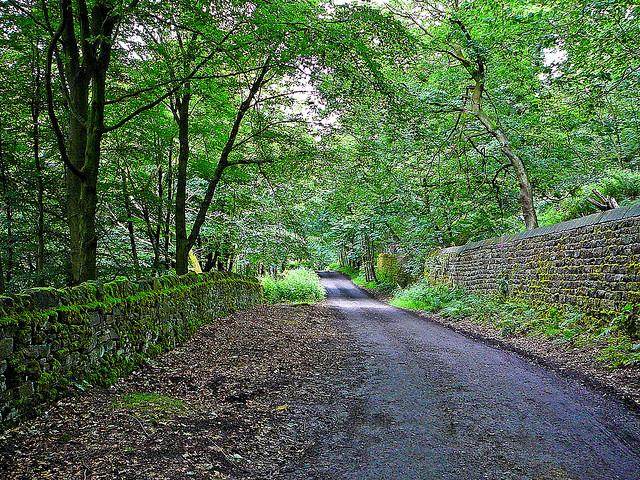 Altar Lane