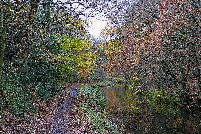 Last colours of autumn