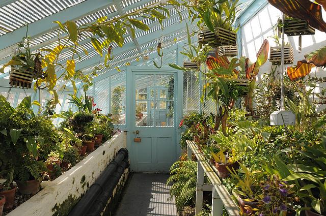 Darwin's Greenhouse