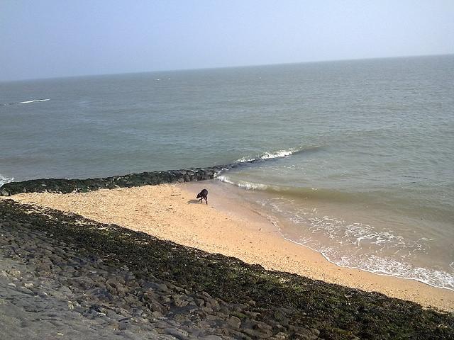 Canvey Seafront