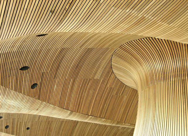 Welsh Assembly/Senedd roof