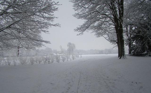 Bute Park, Cardiff