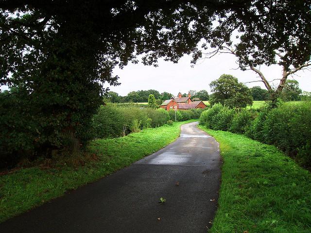 Coventry's River: Bridle Brook to Pikers Lane: Pikers Lane. All Dried Out...after yesterday's flood!
