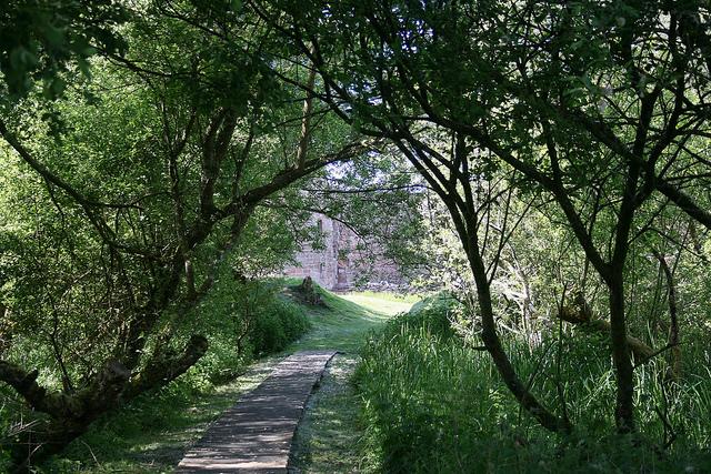 Caerlaverock grounds_4378