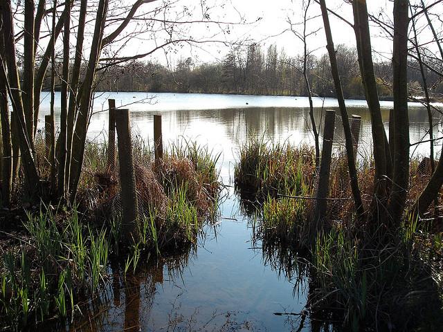 Eastleigh - Lakeside country park, April 09(21)