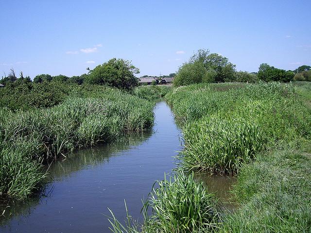 Stream by Titchfield Haven