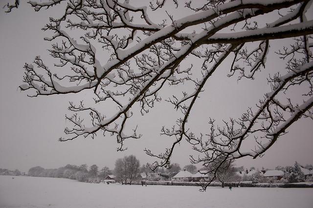 Snowy Guildford