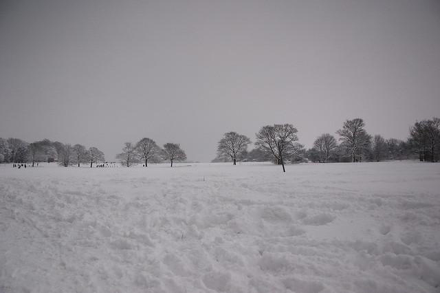 Snowy Guildford