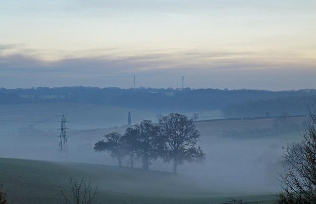 Misty Fields