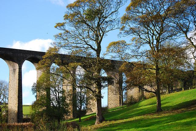 Thornton Viaduct 11