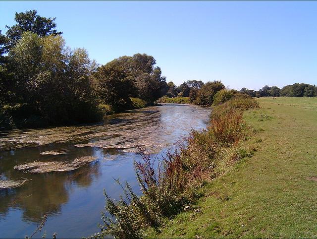 River At Leatherhead