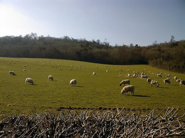 Westhumble to Leatherhead