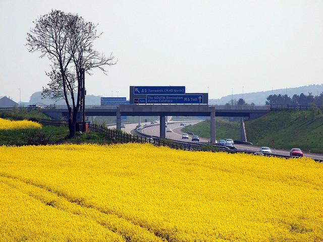 Oilseed Motorway