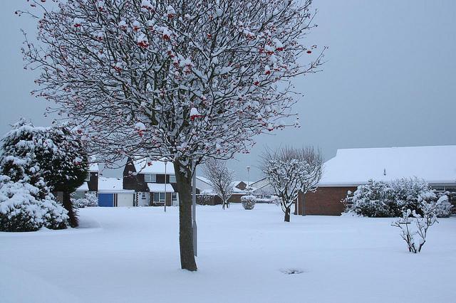 Guess i 'll stay home today !! snow west sussex littlehampton