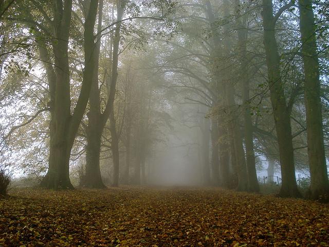 The Avenue, Shotover Estate, Oxford