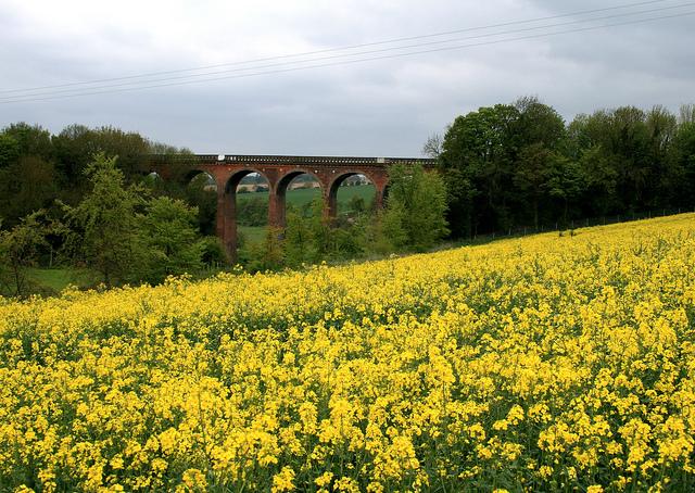 Eynsford Viaduct