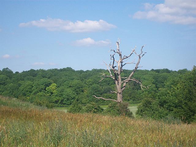 District Park, Stevenage
