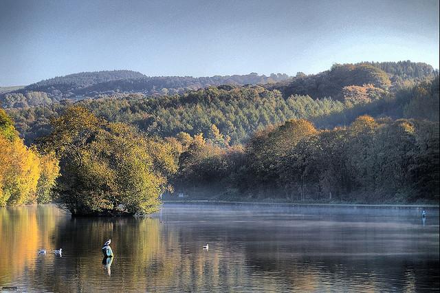 Etherow Park