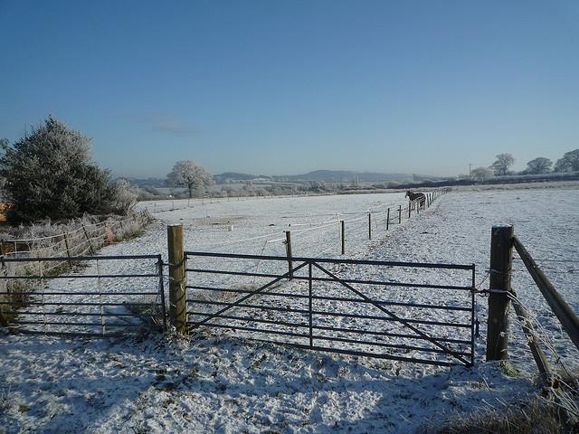 Hoar frost, Stourbridge,  22nd December 2009