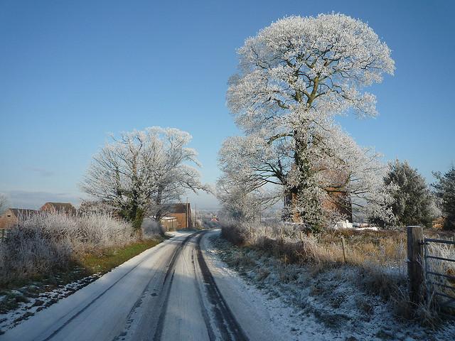 Hoar frost, Stourbridge,  22nd December 2009