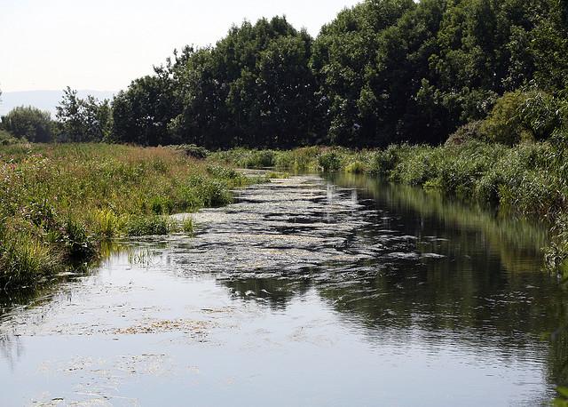 Saul Junction - Stroud Canal