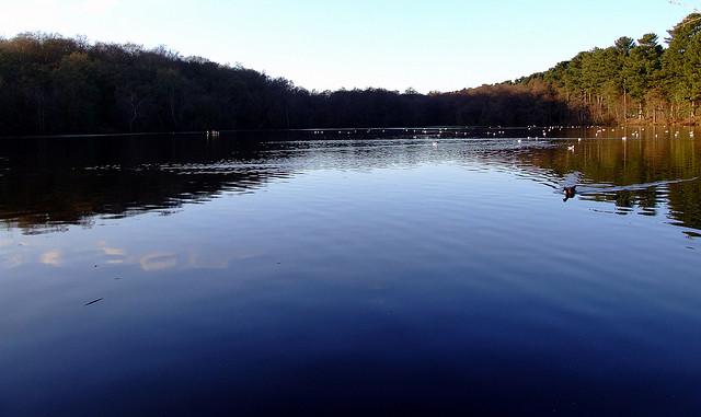 Sutton Park Lake