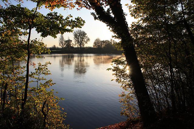 Autumn Morning Coate