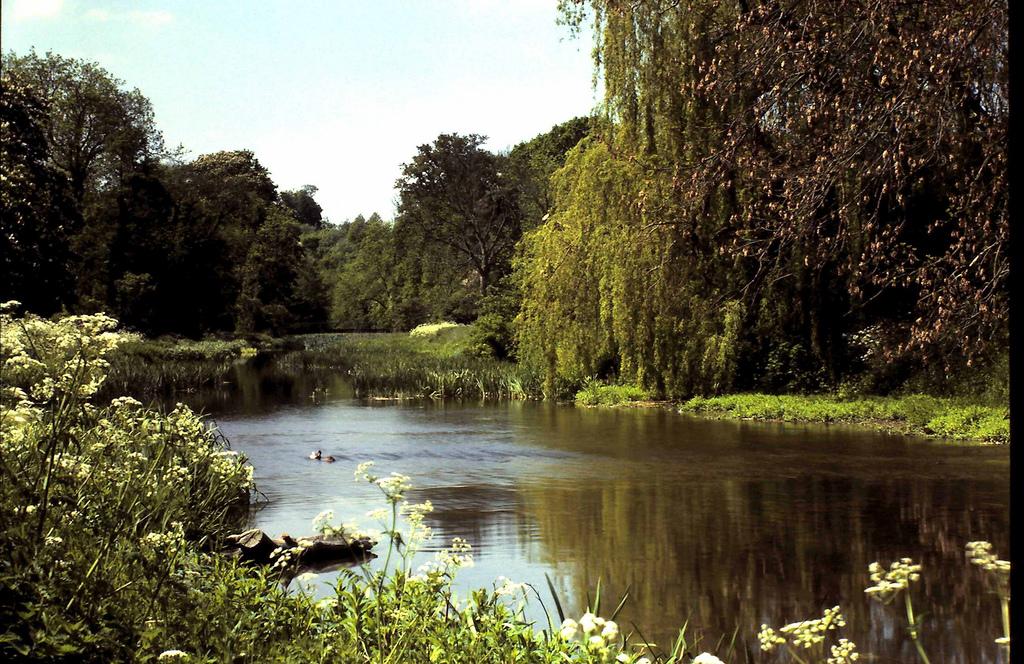 Grand Union Canal, Watford