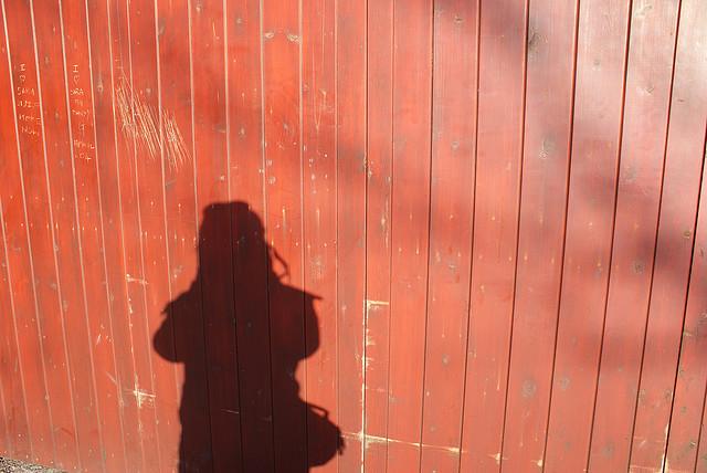Shadow