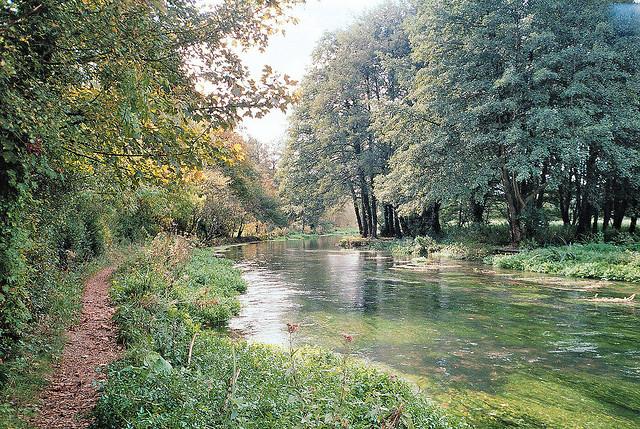 River Itchen
