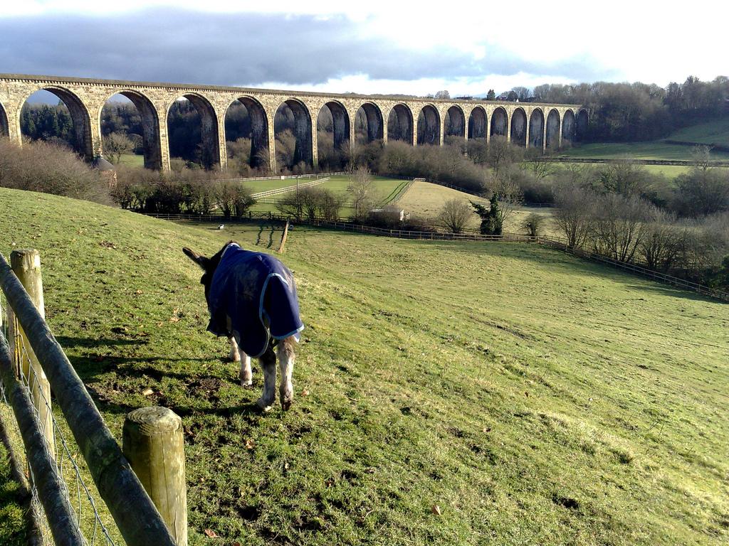 Viaduct