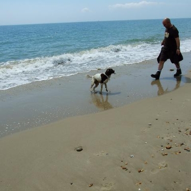 Bournemouth