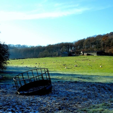 Hereford
