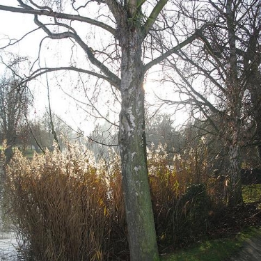 Stratford-upon-Avon