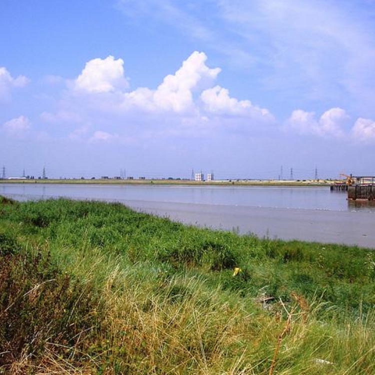 Bexley