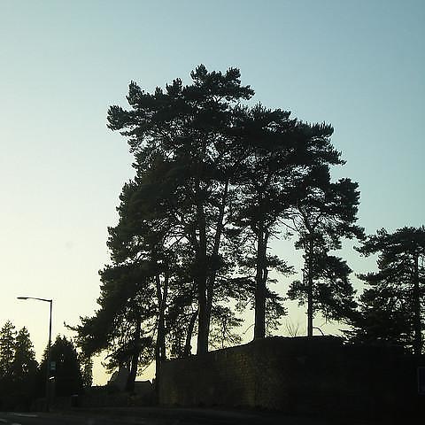 Burgess Hill