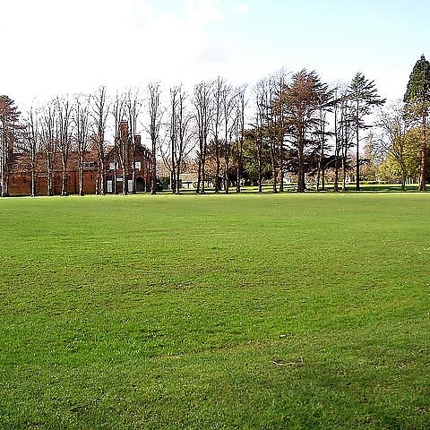 Croydon