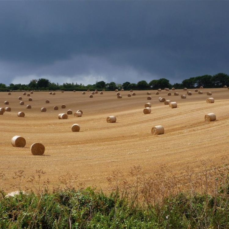 Exeter
