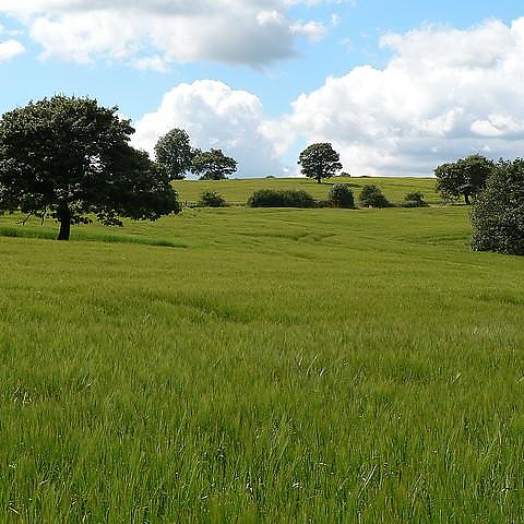Huddersfield