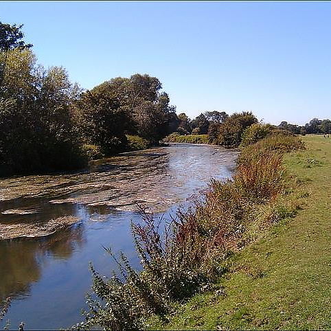 Leatherhead