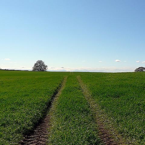 Leatherhead